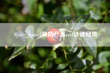 长治消防产品cccf认证目录