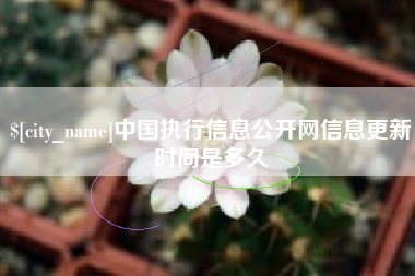 长治中国执行信息公开网信息更新时间是多久