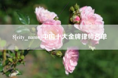 长治中国十大金牌律师名单