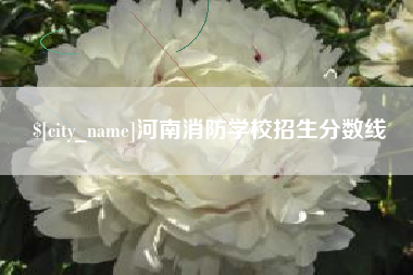 长治河南消防学校招生分数线