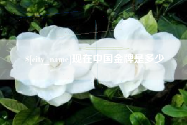 长治现在中国金牌是多少