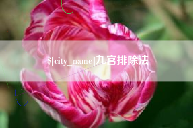 长治九宫排除法
