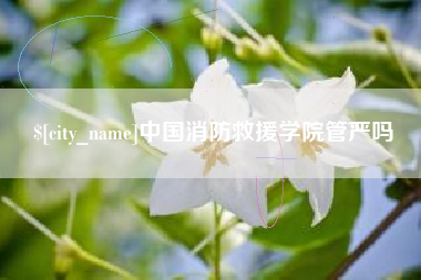 长治中国消防救援学院管严吗
