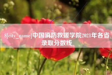 长治中国消防救援学院2021年各省录取分数线