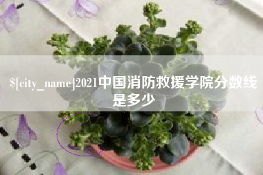 长治2021中国消防救援学院分数线是多少