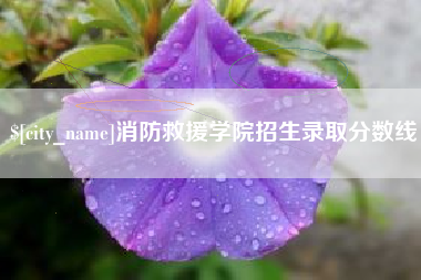长治消防救援学院招生录取分数线