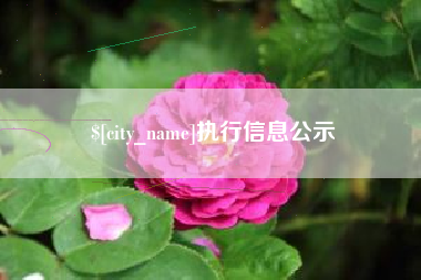 长治执行信息公示