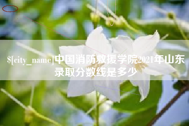 长治中国消防救援学院2021年山东录取分数线是多少