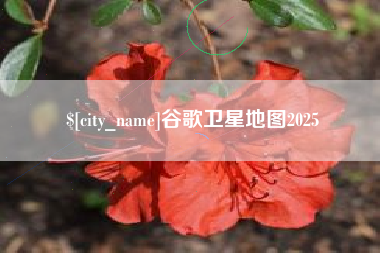 长治谷歌卫星地图2025