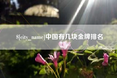 长治中国有几块金牌排名