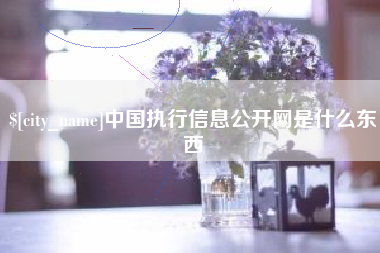 长治中国执行信息公开网是什么东西
