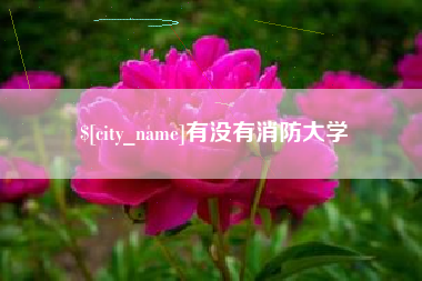 长治有没有消防大学