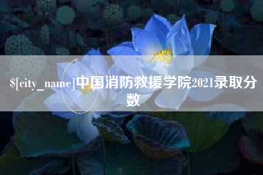 长治中国消防救援学院2021录取分数