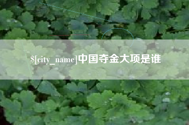 长治中国夺金大项是谁