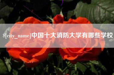 长治中国十大消防大学有哪些学校
