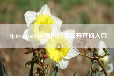 长治中国执行网公开查询入口