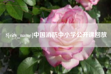 长治中国消防中小学公开课回放