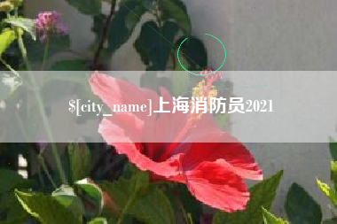 长治上海消防员2021