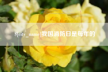 长治我国消防日是每年的