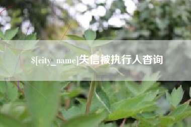 长治失信被执行人杳询