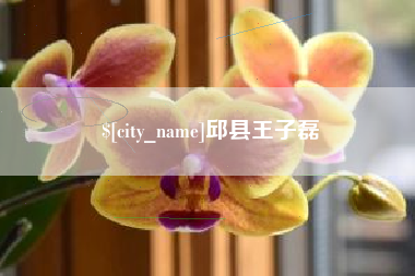长治邱县王子磊