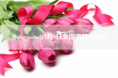 长治11月9日全国消防日图片