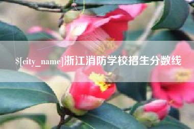 长治浙江消防学校招生分数线