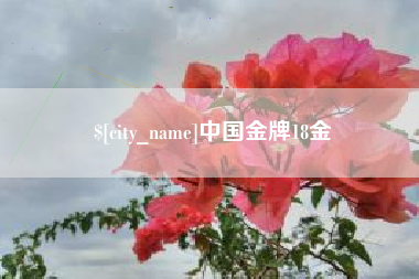 长治中国金牌18金