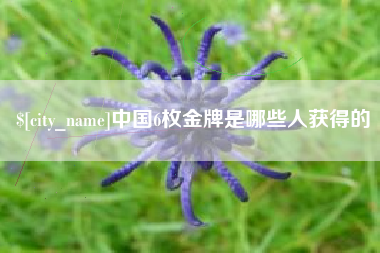 长治中国6枚金牌是哪些人获得的
