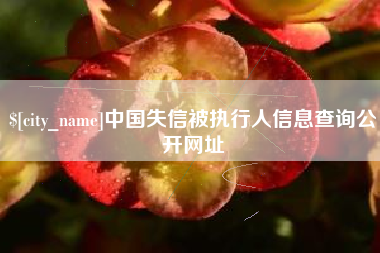 长治中国失信被执行人信息查询公开网址