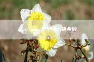 长治奥运会39块金牌