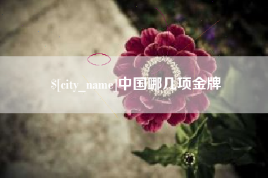 长治中国哪几项金牌
