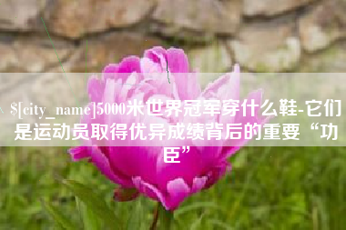 长治5000米世界冠军穿什么鞋-它们是运动员取得优异成绩背后的重要“功臣”