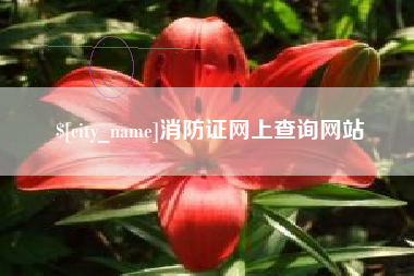 长治消防证网上查询网站