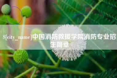 长治中国消防救援学院消防专业招生简章