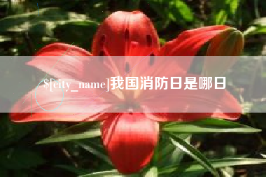 长治我国消防日是哪日