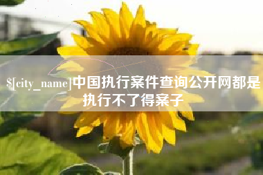 长治中国执行案件查询公开网都是执行不了得案子