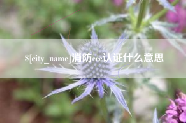 长治消防ccc认证什么意思