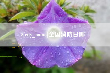 长治全国消防日哪一