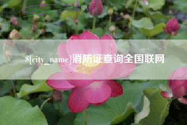 长治消防证查询全国联网