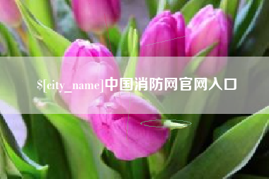 长治中国消防网官网入口