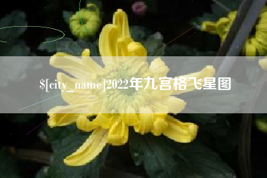 长治2022年九宫格飞星图