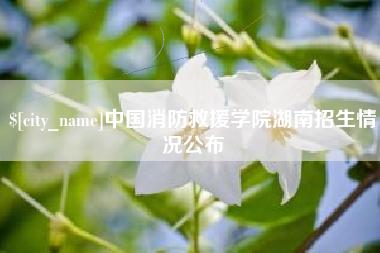 长治中国消防救援学院湖南招生情况公布
