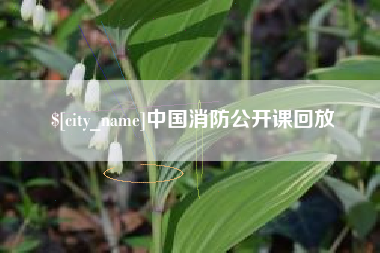 长治中国消防公开课回放