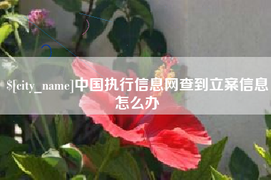 长治中国执行信息网查到立案信息怎么办