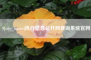 长治执行信息公开网查询系统官网