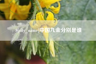 长治中国九金分别是谁