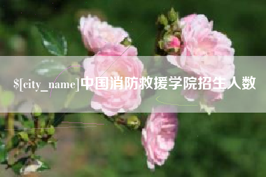 长治中国消防救援学院招生人数