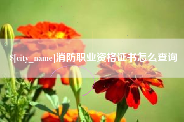 长治消防职业资格证书怎么查询