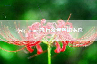 长治执行公告查询系统